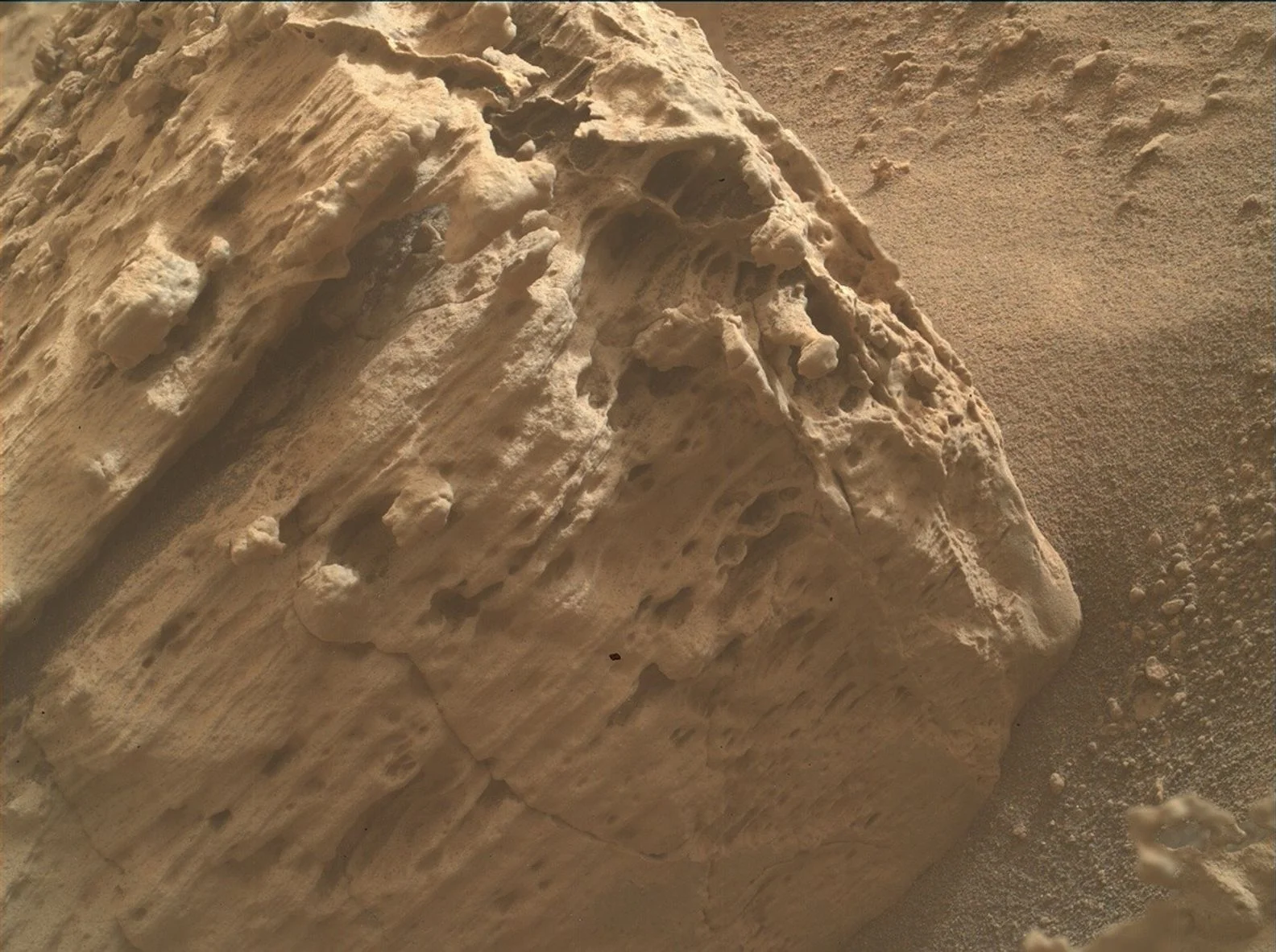 A close up color photo from the Martian surface shows a rock that covers the left two-thirds of the frame and the sandy terrain behind it, all colored a pale, sandy orange-tan. The rock looks like it’s composed of multiple layers stacked from the lower right corner toward the upper left corner. The surface of the rock facing the viewer is slightly undulating, and dug out in many places by pockmarks and gouges that mainly follow the lines of the layers.